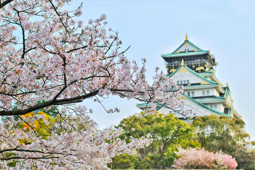 What to Wear in Japan: A Traveler’s Guide to Style, Seasons, and Culture