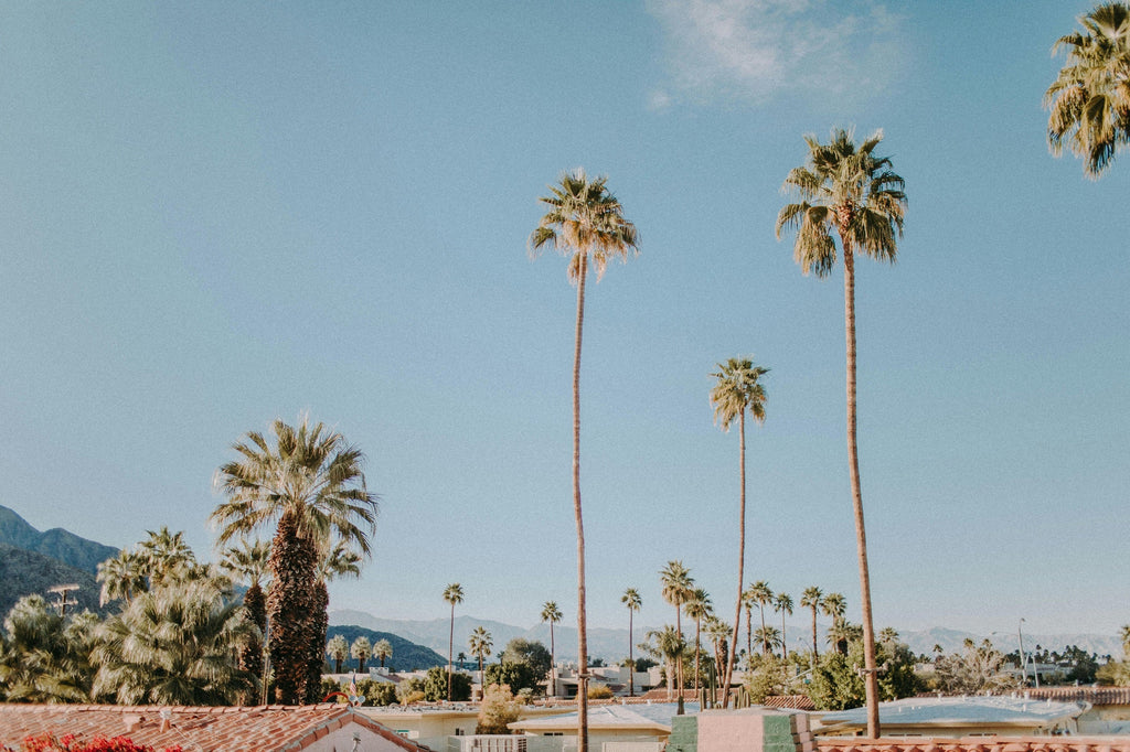 What to Wear in Palm Springs in Winter: Day-to-Night Outfit Ideas