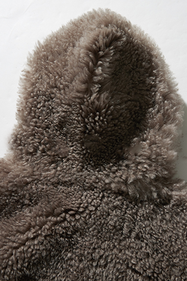 Fluffy Crop Shearling Teddy Coat with Hood Fibflx