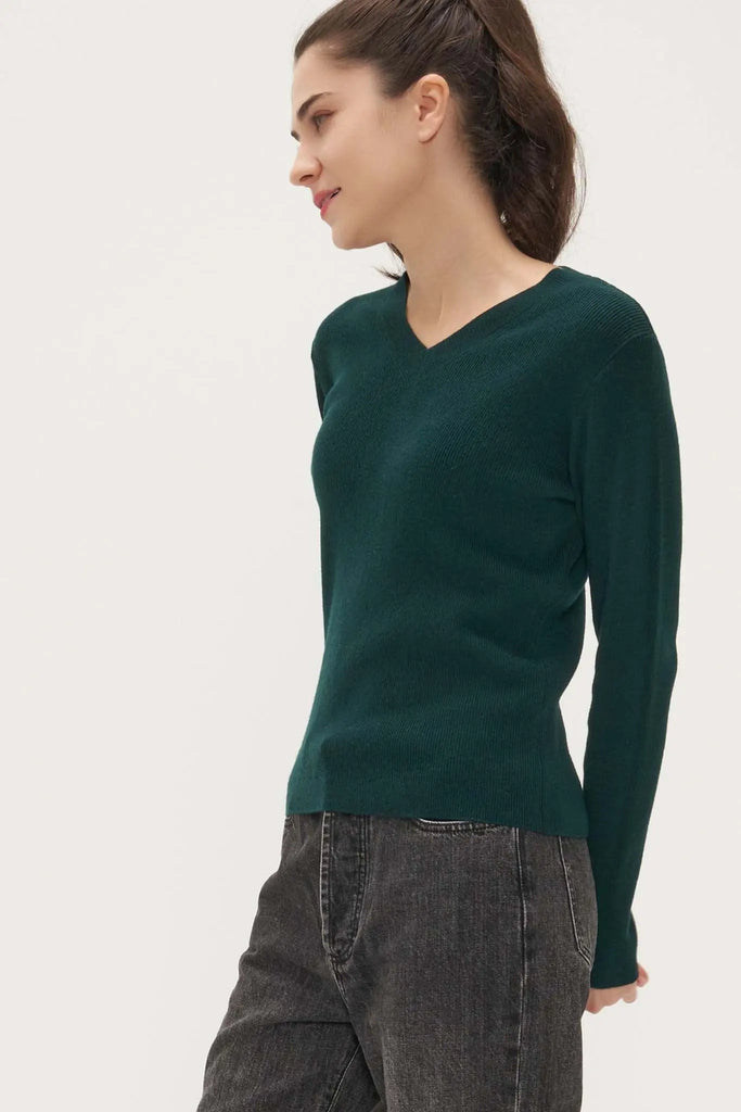 Fibflx V-Neck Sweater in Cashmere and Wool Green