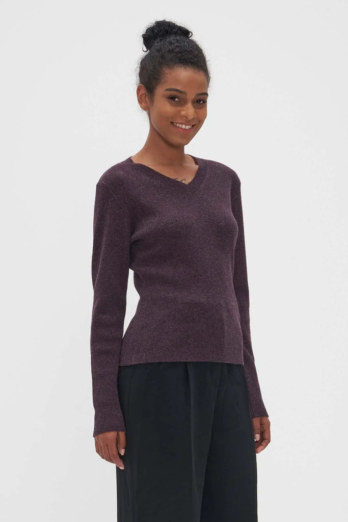 Fibflx V-Neck Sweater in Cashmere and Wool Eggplant
