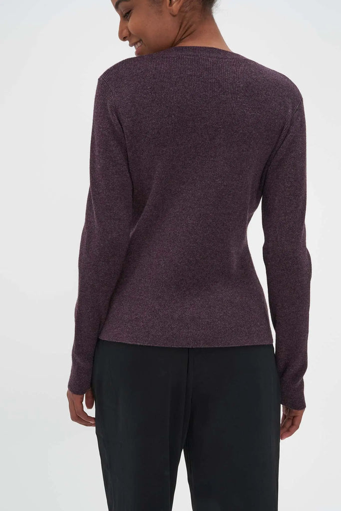 Fibflx V-Neck Sweater in Cashmere and Wool Eggplant