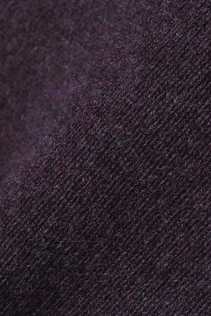 Fibflx V-Neck Sweater in Cashmere and Wool Eggplant
